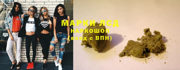 гидра Краснослободск