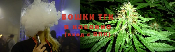 гидра Краснослободск
