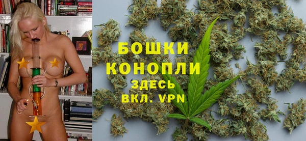 Альфа ПВП Корсаков